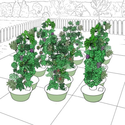 Aeroponic Vertical Garden