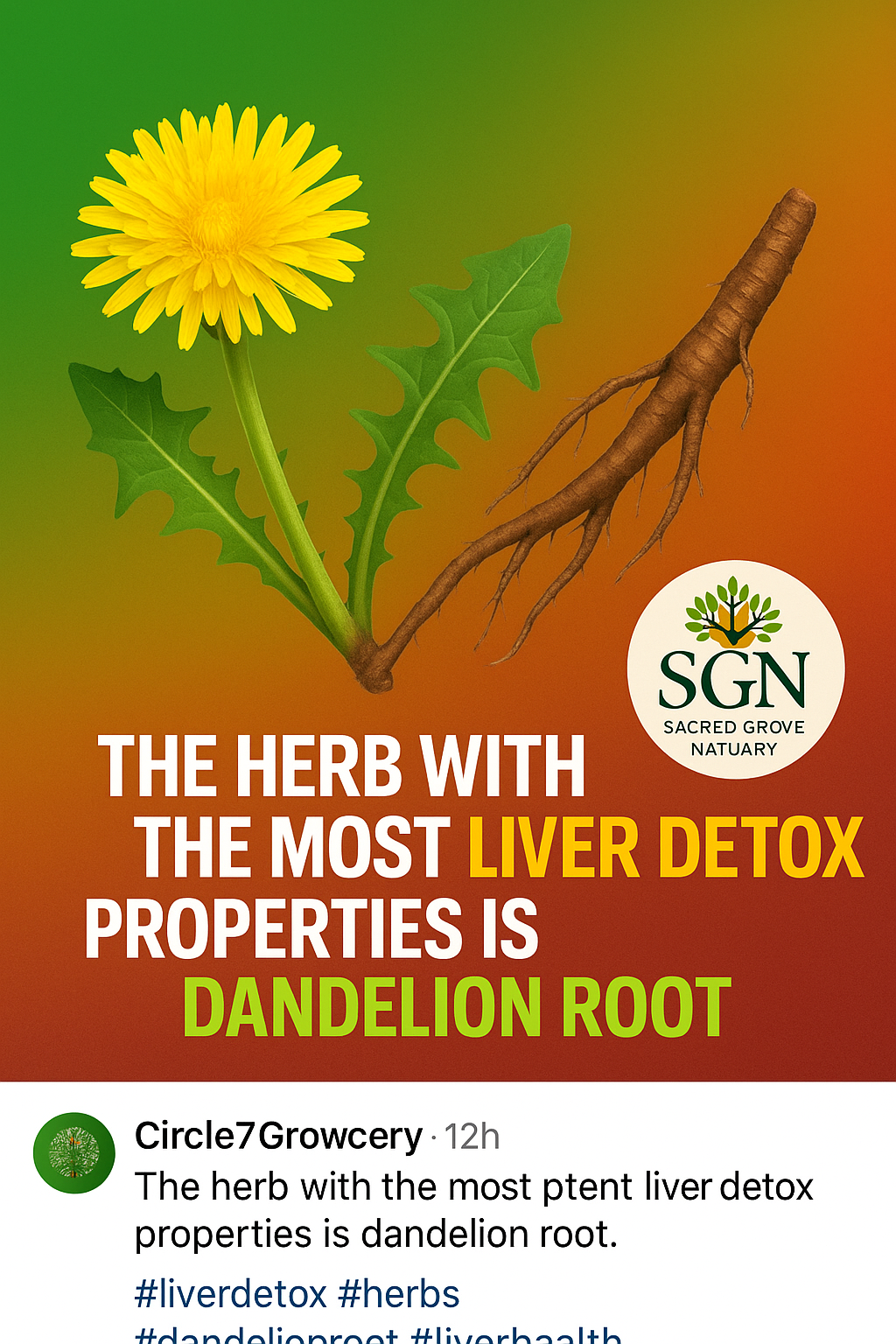 🌻 Harvest & Heal: A Community Herbal Gathering