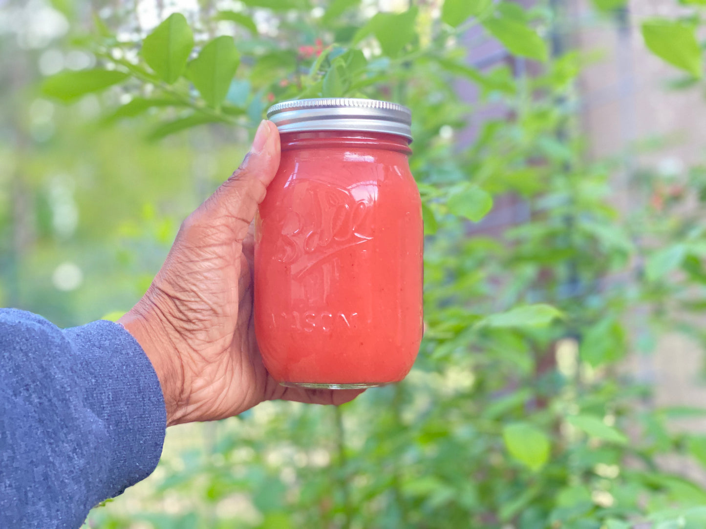 Wildcrafted Sea Moss Gel