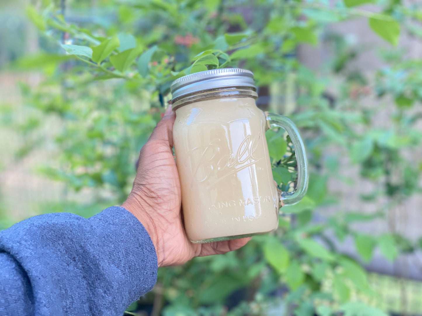 Wildcrafted Sea Moss Gel