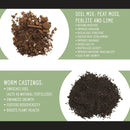 All-Purpose Bonsai Potting Mix (2 Quarts), All-Natural Organic Nutrient-Rich Bonsai Soil Mixture