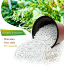 THE VALLEY GARDEN Organic Perlite for All Plants, All Natural Horticultural Soil Additive Conditioner Mix, Improve Drainage and Ventilation, Help Root Growth (2 Quarts)