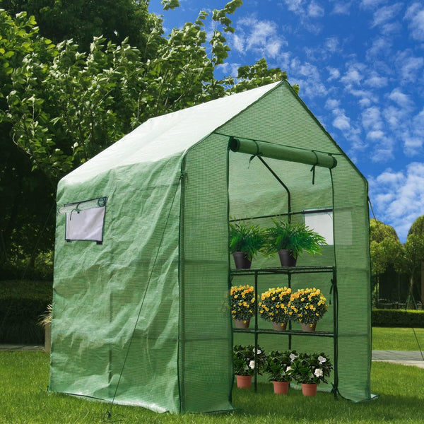Greenhouses for Outdoors Mini Portable Walk-In Greenhouse W/Pe Cover, 2 Tiers 8 Shelves, 2 Mesh Windows, Roll-Up Zipper Door, Waterproof Indoor Outdoor Plant Gardening Greenhouse(56" Wx56''Dx77''H)
