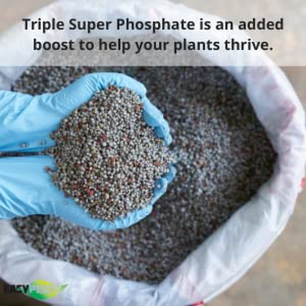 TRIPLE SUPER PHOSPHATE FERTILIZER 0-46-0 | Phosphorus Fertilizer for Gardens, Lawns, Indoor and Outdoor Plants | ROCK PHOSPHATE PLANT FOOD FERTILIZER for ORCHIDS, WISTERIA, CACTUS and ALL OTHER PLANTS