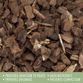 100% Organic Orchid Potting Bark (4 Quarts), All-Natural Usa-Sourced Pine Bark Orchid Mix Additive