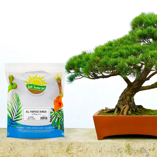 All-Purpose Bonsai Potting Mix (2 Quarts), All-Natural Organic Nutrient-Rich Bonsai Soil Mixture