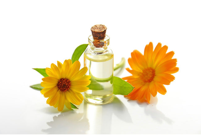 Golden Aura Calendula Oil