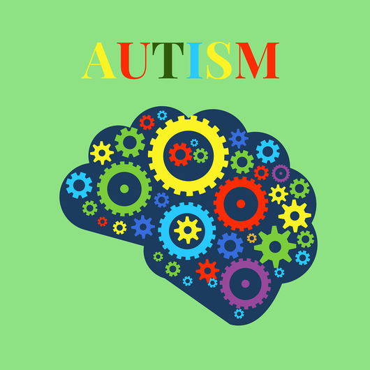 Autism Support Protocol REMEDY