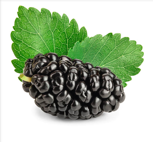 Organic Mulberry leaf powder